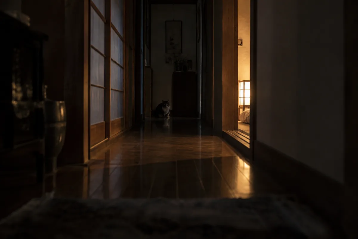 背後の黒い影。心霊写真扱いされたが、しゃがんでいた猫だった。